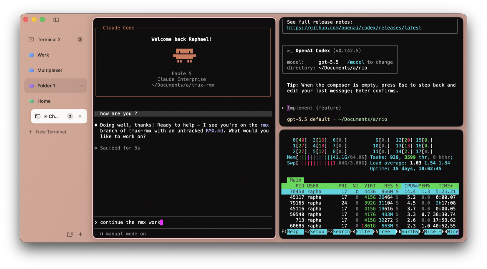Three panes split in one Canario tab: Claude Code, Codex and htop
